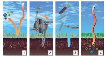 The Importance of Lawn Aeration