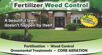 How Important Is It to Fertilize Your Lawn, and How Frequently Should You Do It?